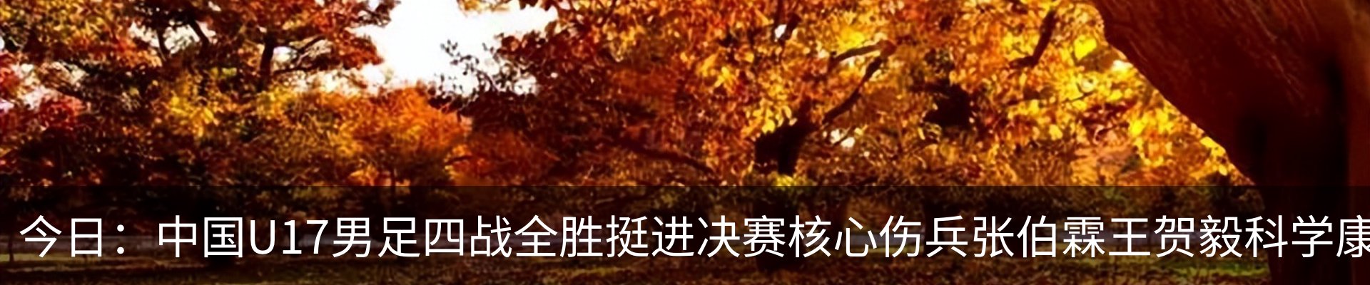 行业资讯