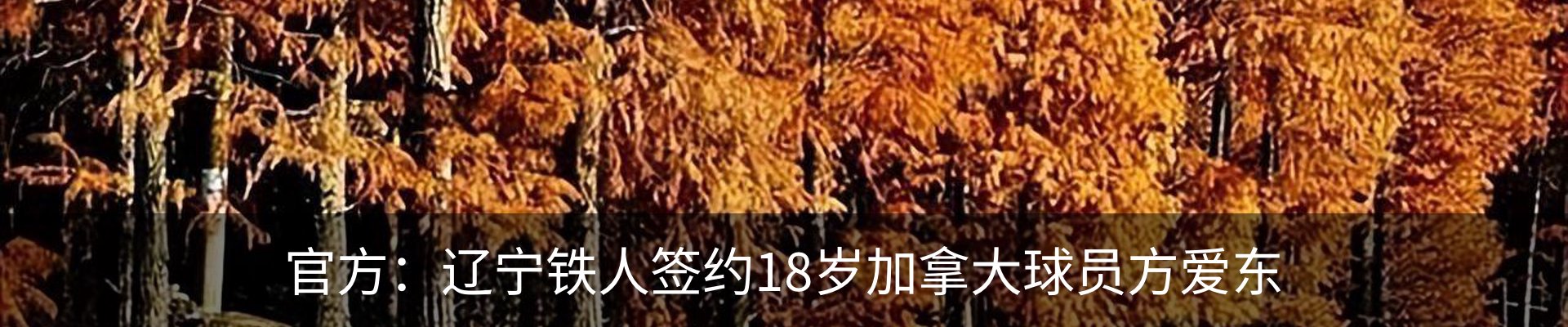 行业资讯