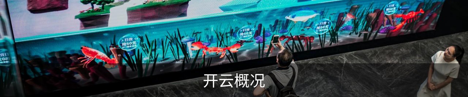 开云概况