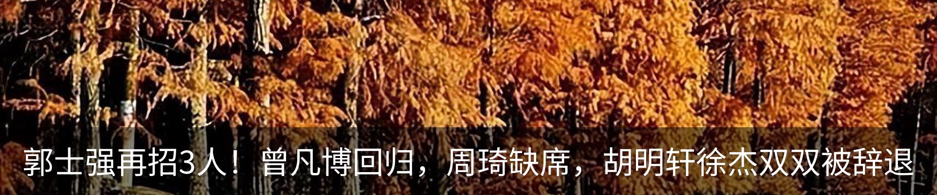 行业资讯