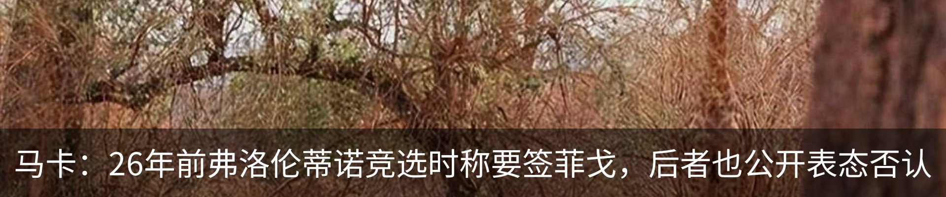行业资讯